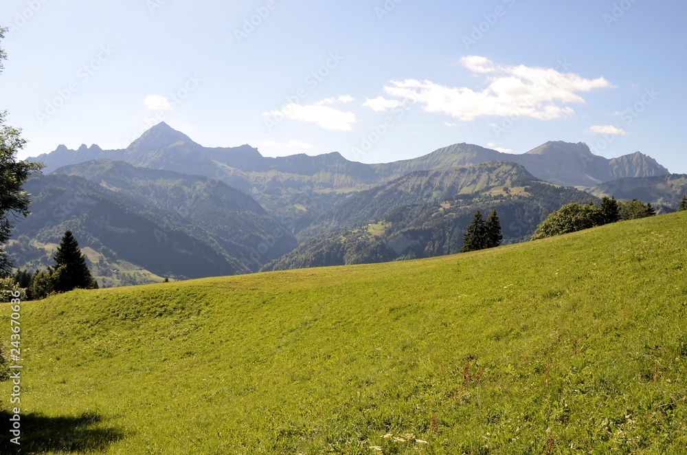 Vue sur le massif des Alpes depuis Crest Voland