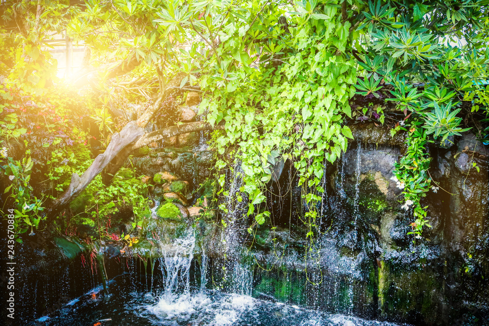 Fototapeta Waterfalls with trees and green leaves provide a refreshing daylight with sunshine.