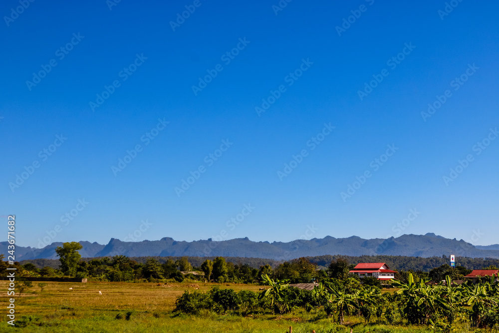 landscape with green field and blue sky landscape with green field and blue sky