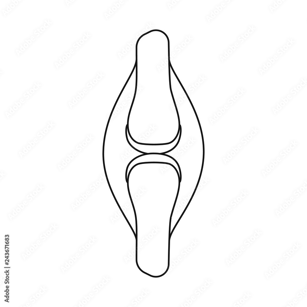Vector design of anatomy and organ icon. Collection of anatomy and medical stock symbol for web. Vector design of anatomy and organ icon. Collection of anatomy and medical stock symbol for web.