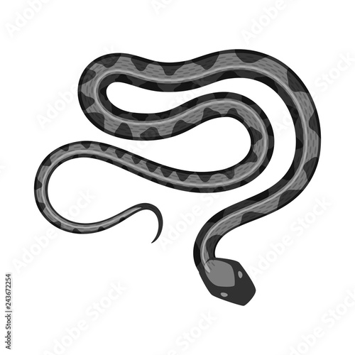 Vector design of harm and bite icon. Collection of harm and reptile stock vector illustration.