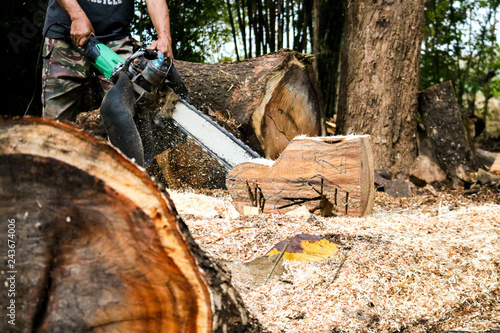 chainsaw in action
