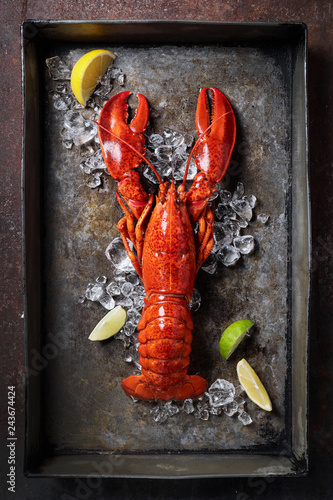 Lobster in a dark grey rusty tray served on ice with lemon and live, top view, vintage style