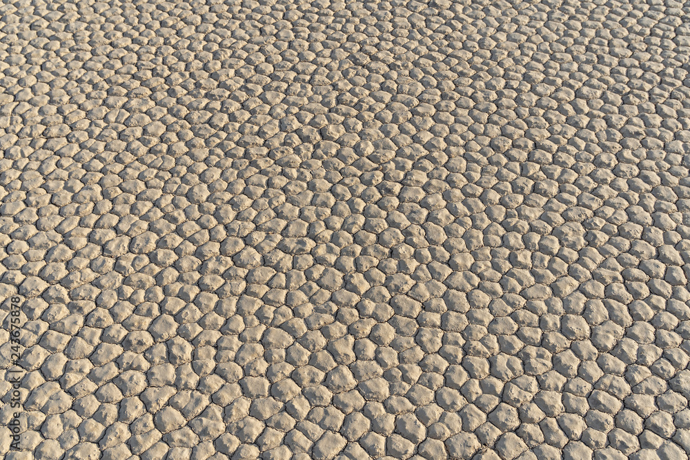 Dry lake bed formed polygon patterns, usually 6 sided, Racetrack Playa, Death Valley National Park, California Dry lake bed formed polygon patterns, usually 6 sided, Racetrack Playa, Death Valley National Park, California