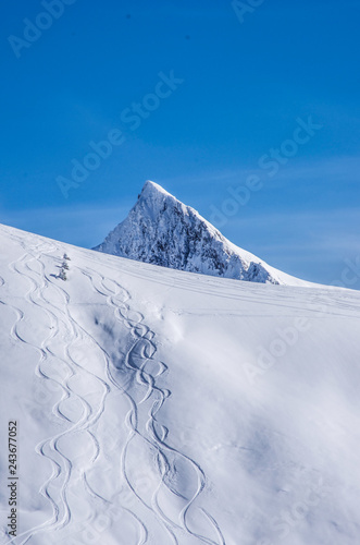 freeride