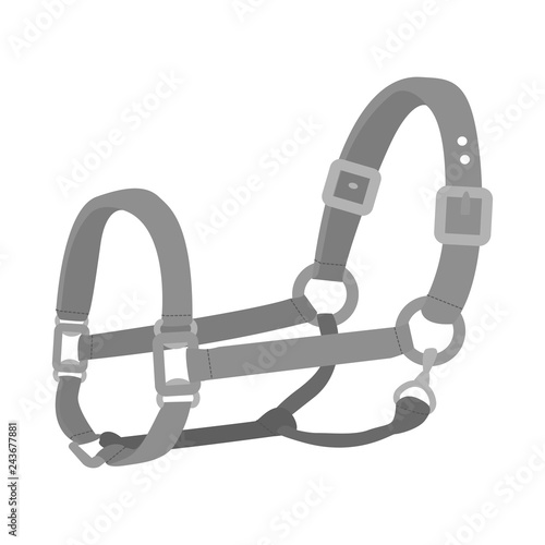 Isolated object of race  and horse  logo. Collection of race  and racing  vector icon for stock.