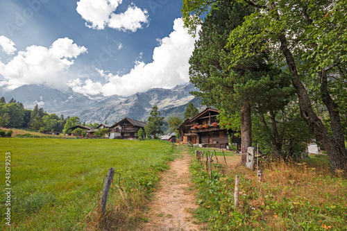 Quadro su tela Path through the meadows of the Anzasca Valley in Macugnaga on the slopes of Monte Rosa in Piedmont, Italy
