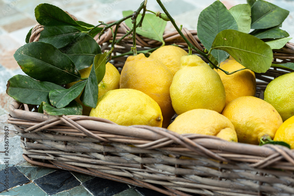 Organic lemons from the Amalfi coast (Italy)