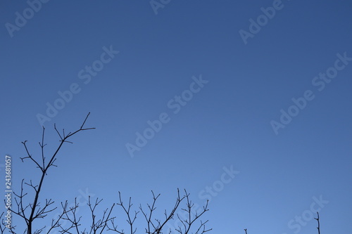 Blue sky background picture