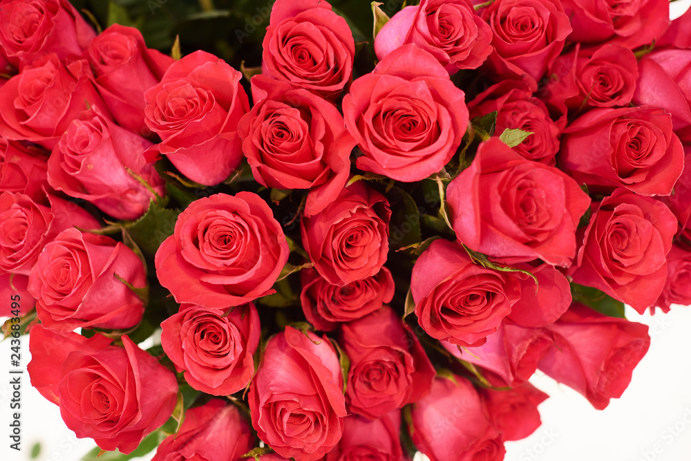 Fresh cut red roses and arrangements in florist shop, tracking shot Fresh cut red roses and arrangements in florist shop, tracking shot