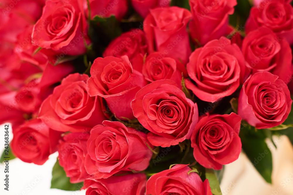 Fresh cut red roses and arrangements in florist shop, tracking shot