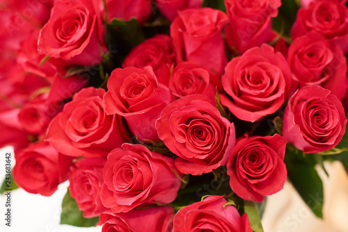Fresh cut red roses and arrangements in florist shop  tracking shot
