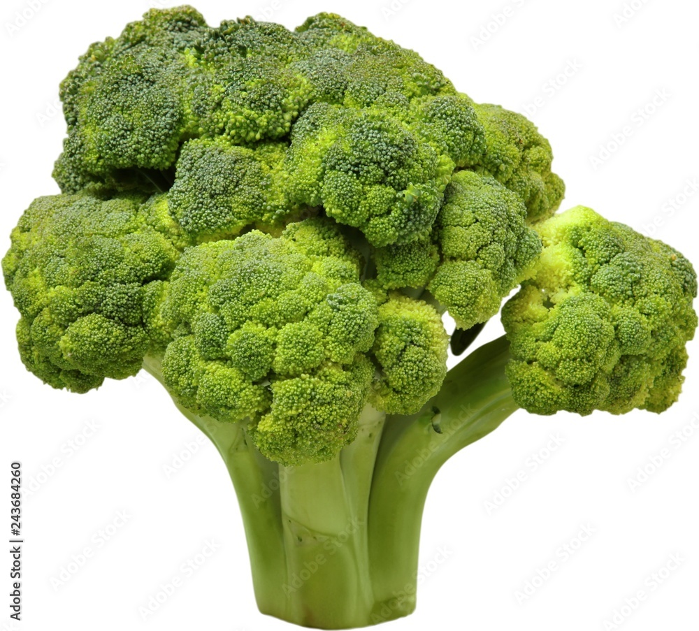 Broccoli floret