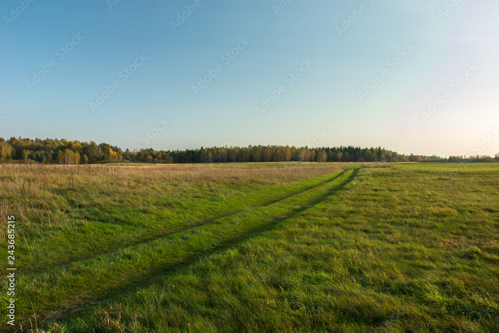 Wheel tracks on a green meadow, autumn forest and clear sky