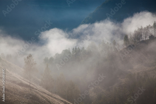 foggy summer landscape in the mountains, Salciua, Romania