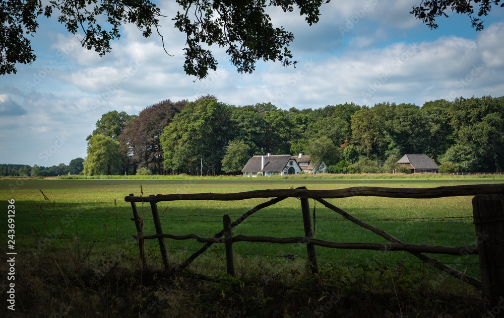 Fototapeta premium Dutch rural nature
