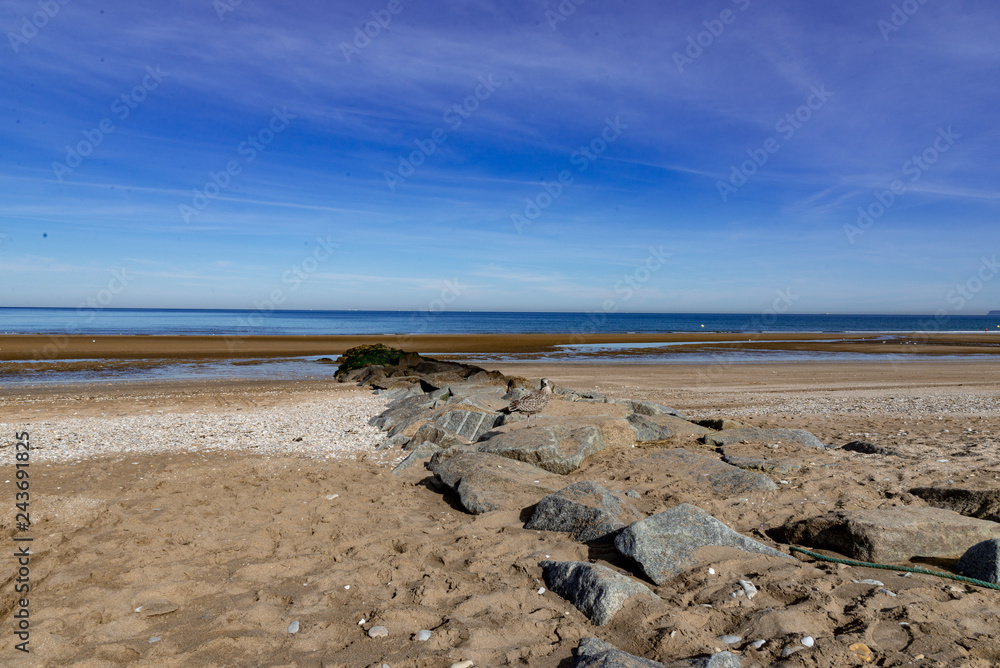 beach and sea