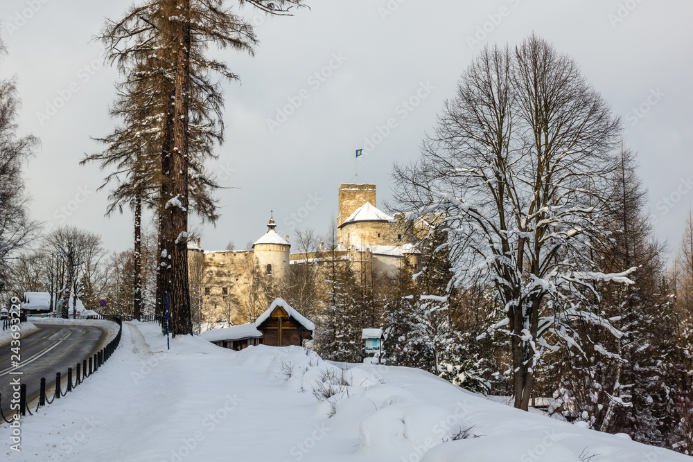 Castle in Niedzica at winter, Pieniny, Poland