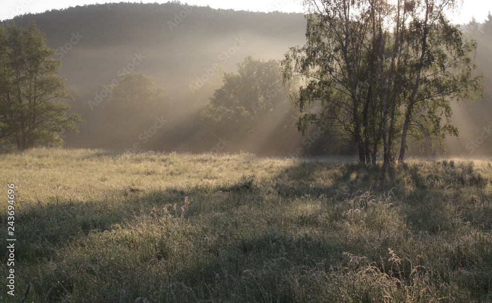 foggy morning on meadow. sunrise landscape photo with vintage effect foggy morning on meadow. sunrise landscape photo with vintage effect