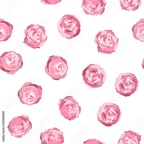 Vector seamless pattern with pink peony flowers on white background. Romantic design for natural cosmetics, perfume, women products. Can be used as greeting card or wedding background