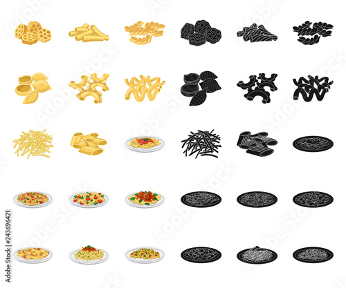 Vector illustration of pasta and carbohydrate icon. Set of pasta and macaroni vector icon for stock.