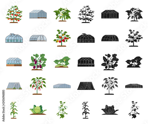 Isolated object of greenhouse and plant sign. Set of greenhouse and garden stock symbol for web.