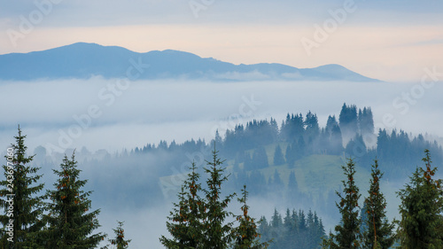 Beautiful sunrise at the foggy mountain range © skumer