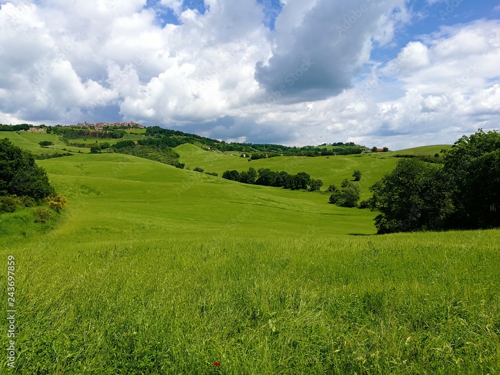 Graslandschaft Graslandschaft