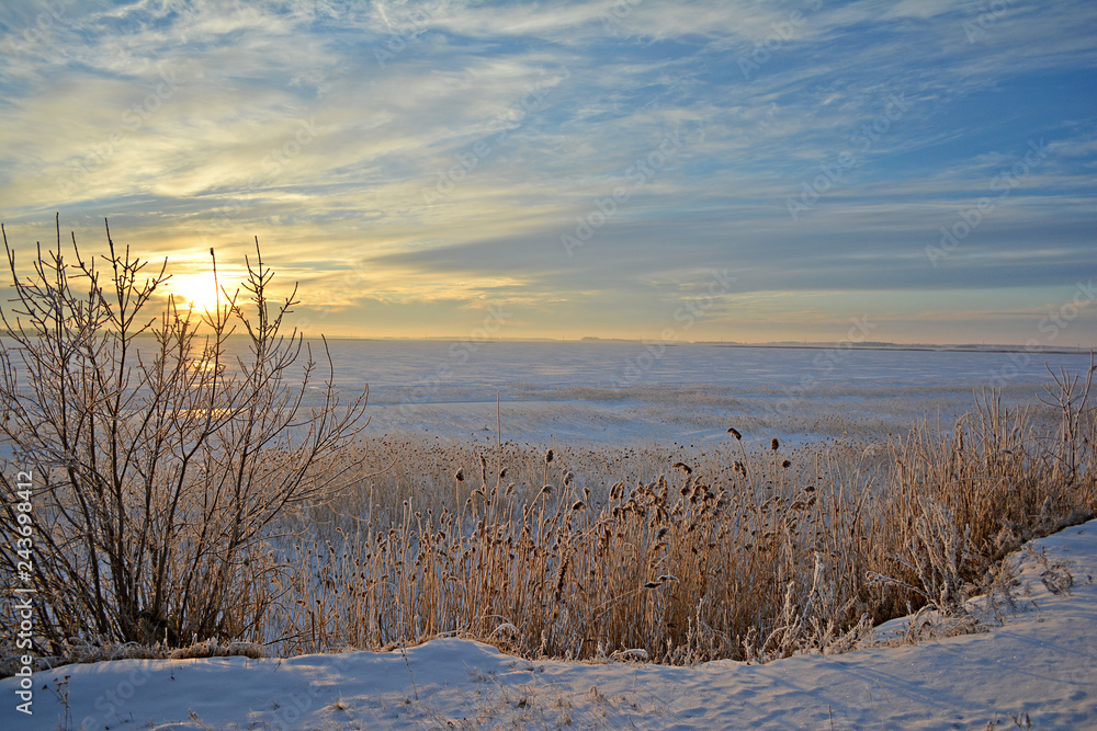 Winter rural landscape. Lake in winter.