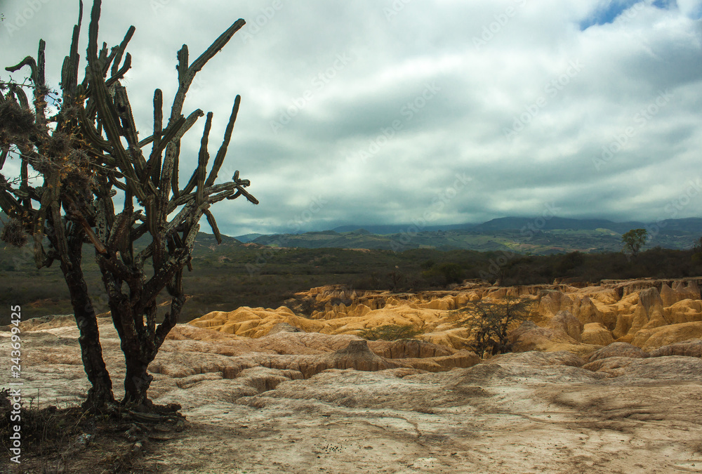 paisaje Falla geologica hundicion de YAY, desierto de arcilla y cactus