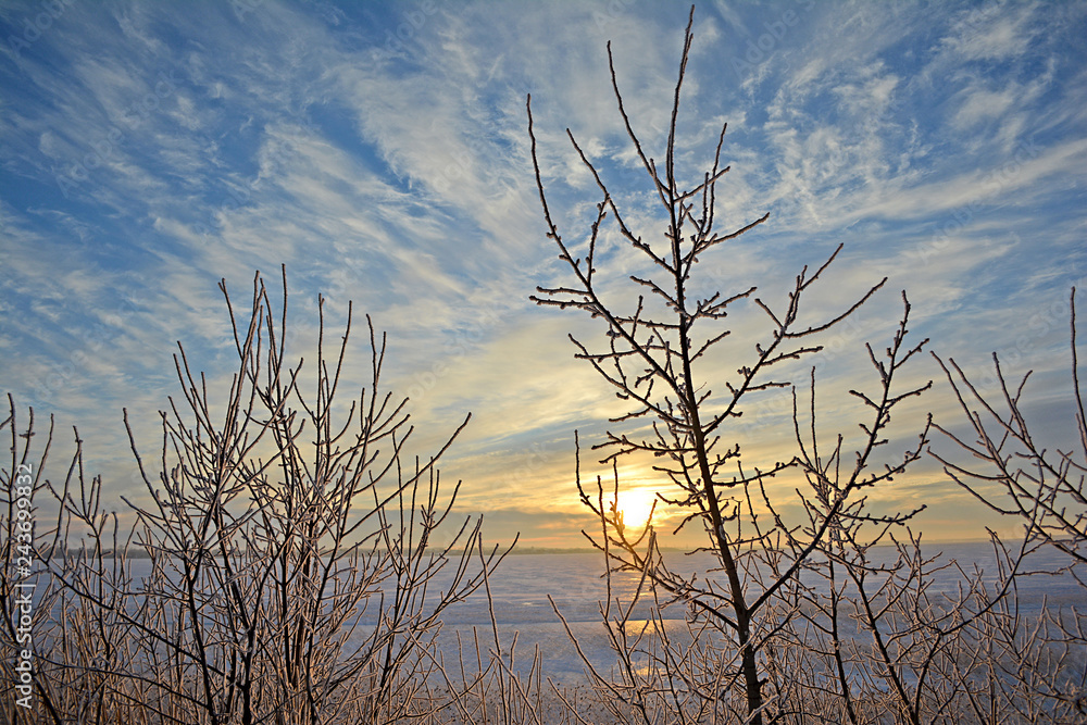 Obraz premium Winter rural landscape. Lake in winter.