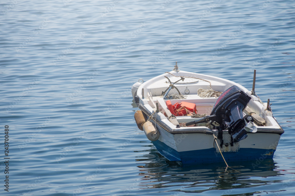 Small white blue motorized boat anchored on the shore