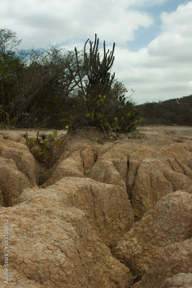 paisaje Falla geologica hundicion de YAY, desierto de arcilla y cactus
