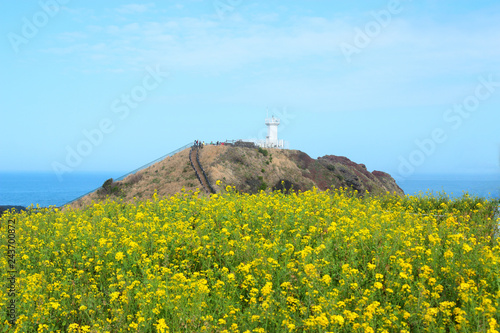 제주도 서귀포에 있는 