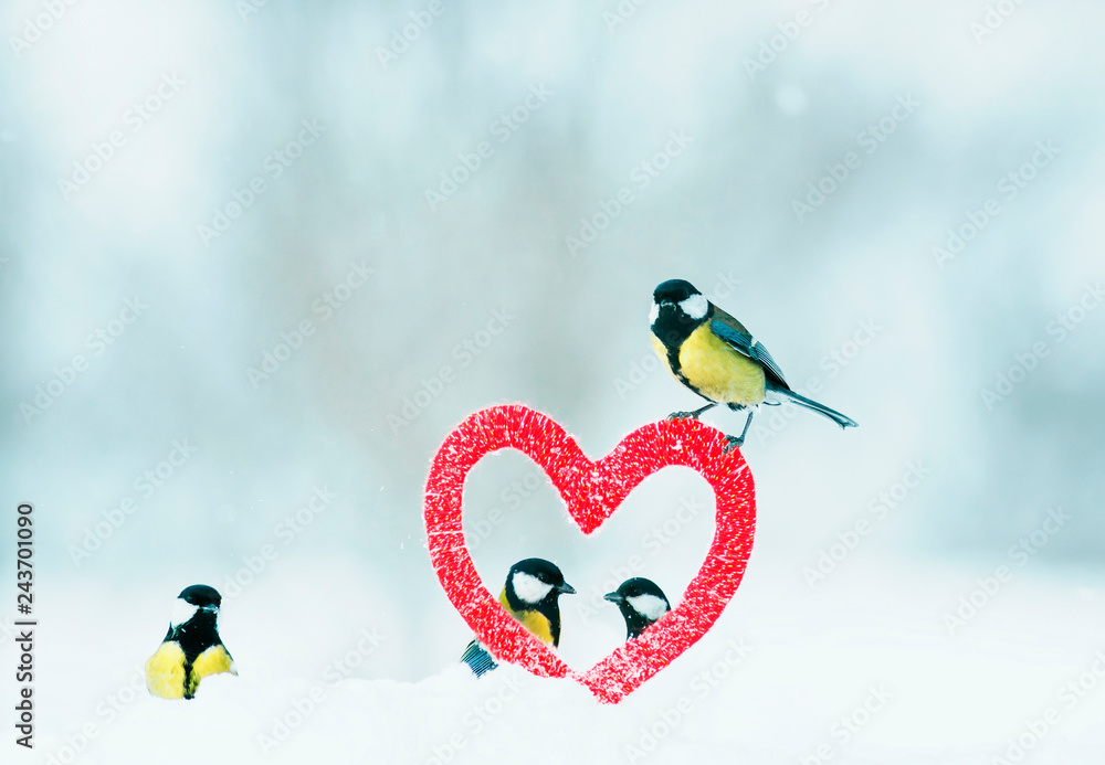 Obraz premium beautiful festive Valentine with many birds chickadees fly from the symbolic frame of love in the form of red heart