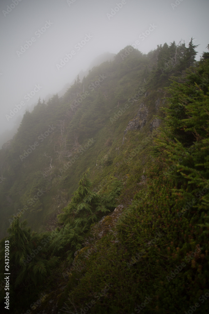 Obraz premium hillside