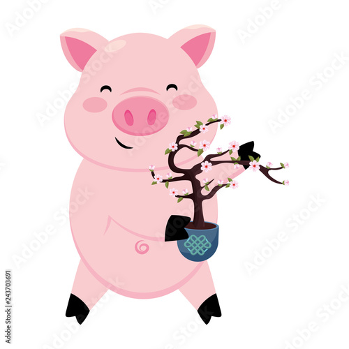 pig with cherry blosssoms tree photo