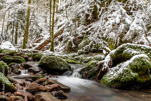 cascade in winter forest