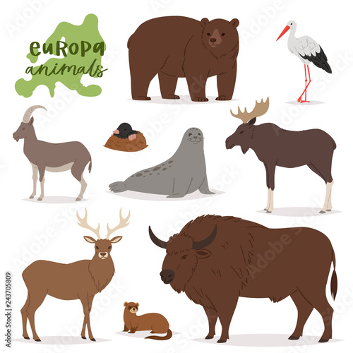 Animal vector animalistic character in forest bear deer elk of Europe wildlife illustration set of European predator mountain goat isolated on white background © partyvector