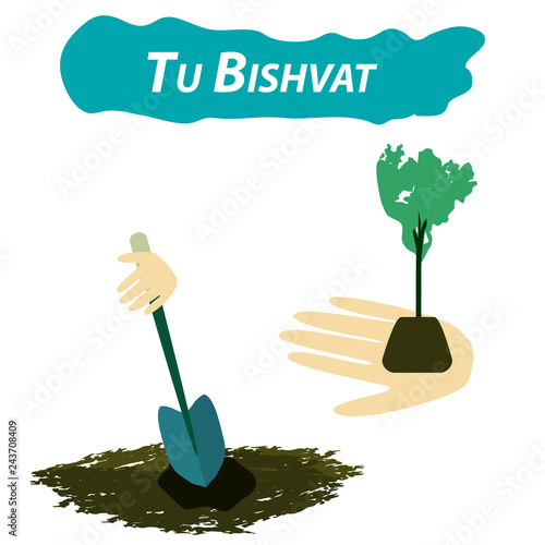 Tu Bishvat Jewish new year of trees. Planting trees on Tu Bishvat. Flat style. Vector illustration on isolated background. photo