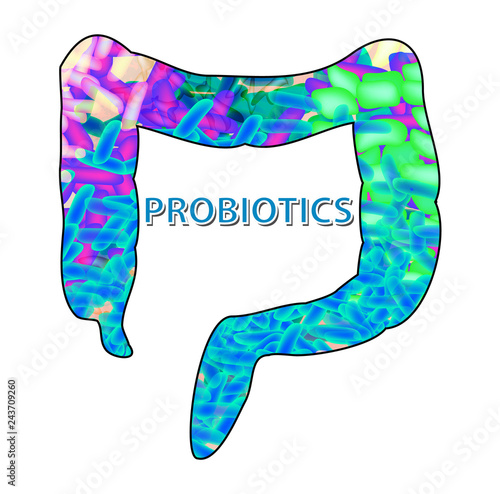 Good bacteria flora in the colon. Probiotic, prebiotic, synbiotic, lactobacillus, bifidobacterium. Infographics. Vector illustration on isolated background.
