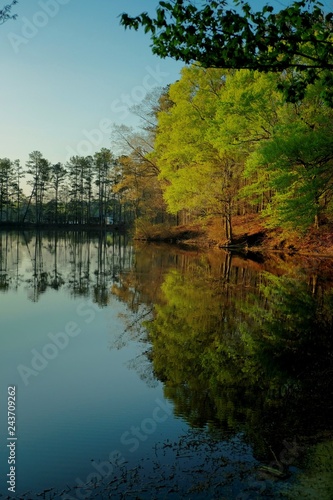 Piicturesque view of Simpkins Pond on a clear Spring morning at Lake Wheeler Park in Raleigh  North Carolina. Crystal clear reflections of the trees and sky on the calm surface.