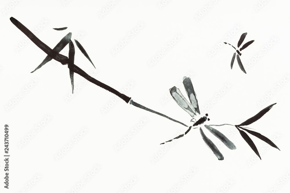 Fototapeta premium dragonflies and twig are hand drawn on paper