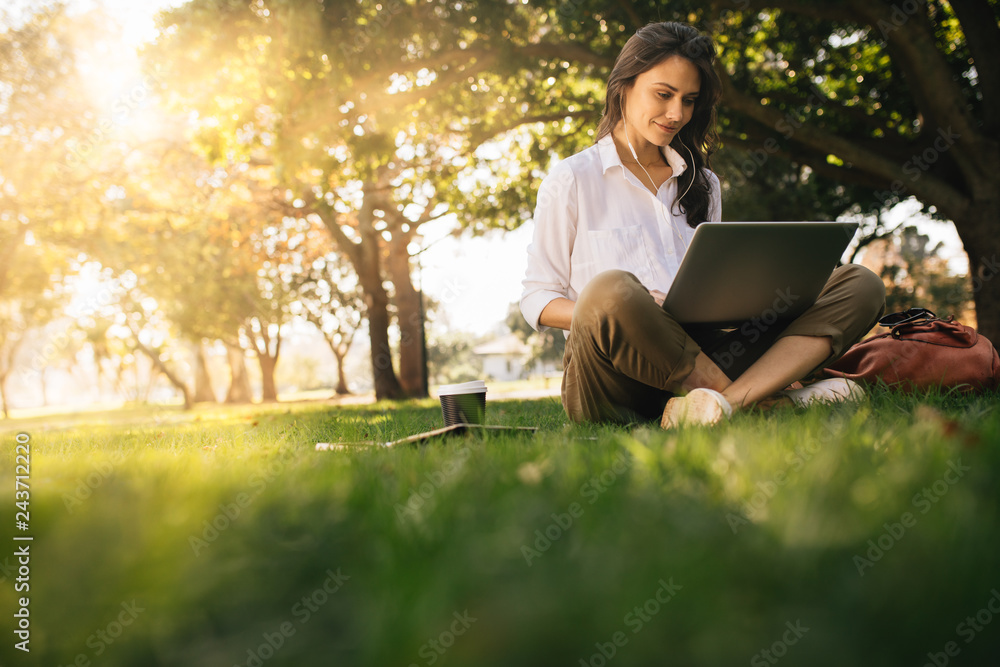 Woman sitting on grass at park working on laptop - obrazy, fototapety, plakaty 