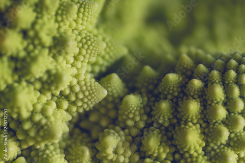 Close up of romanesque cauliflower logarithmic spirals