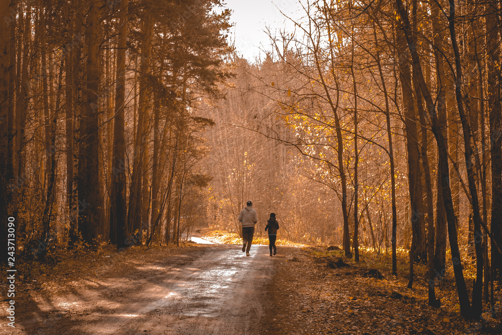 run in the forest run in the forest