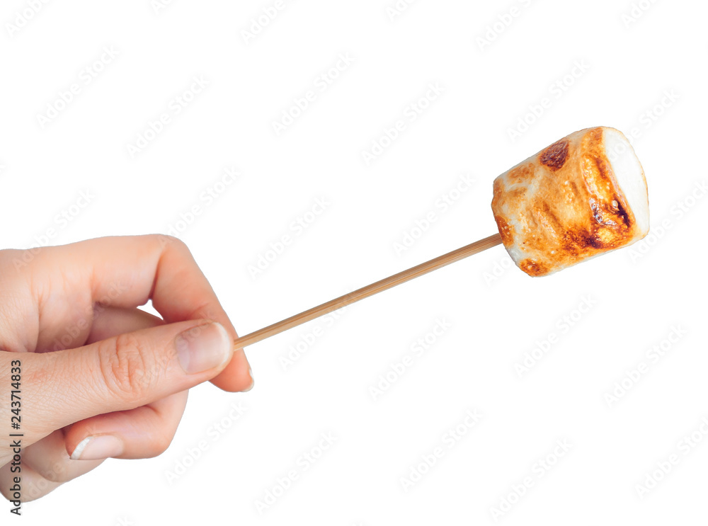 roasted marshmallows on a skewer on white background roasted marshmallows on a skewer on white background
