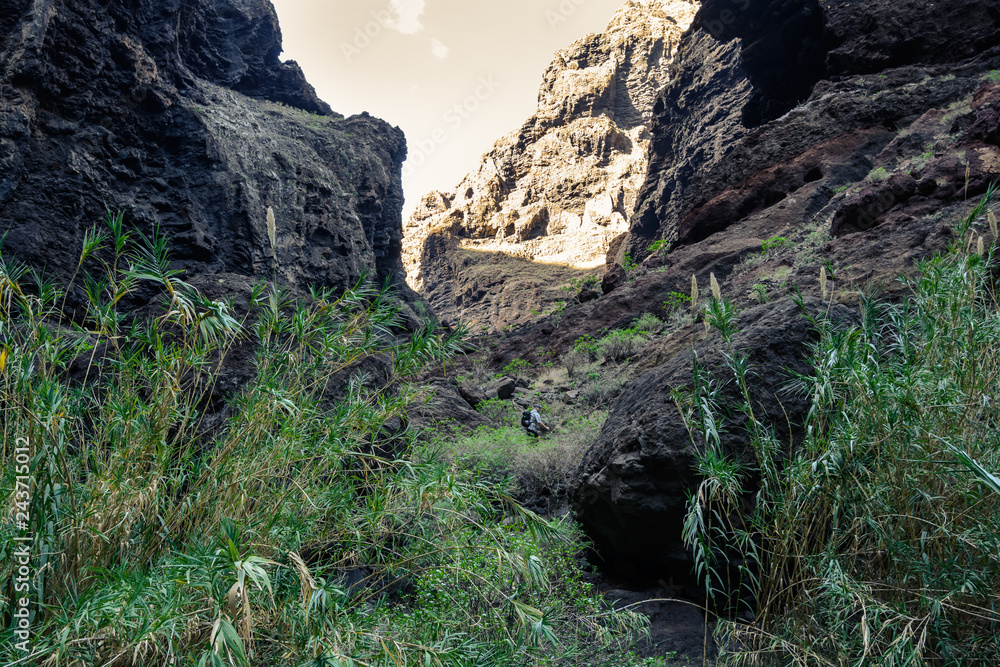 Obraz premium Hiking in Gorge Masca. Volcanic island. Mountains of the island of Tenerife, Canary Island, Spain.