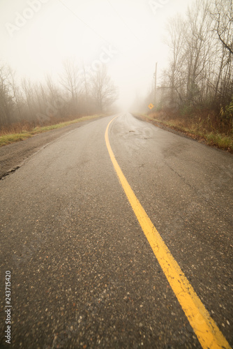 road in autumn