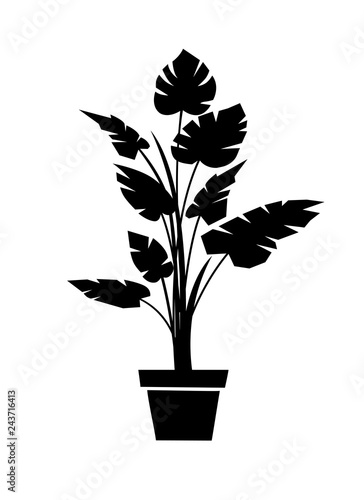Monstera black silhouette vector illustration. Houseplant in pot
